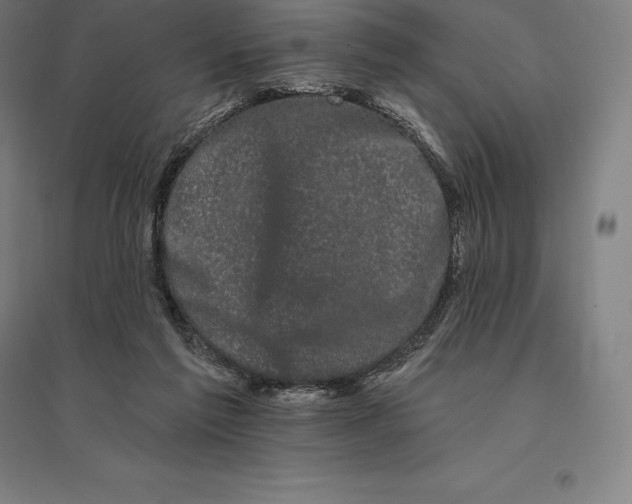 X0000095130213200712301832