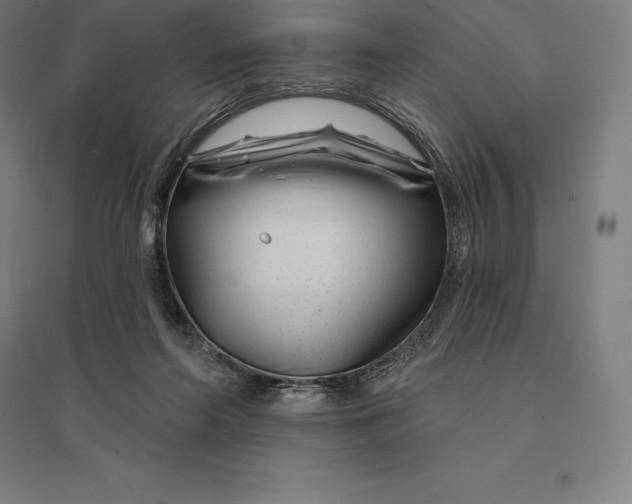 X0000095130214200712301832