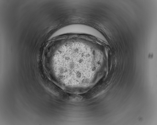 X0000095130215200712301832