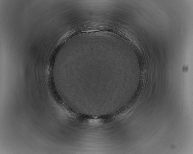 X0000095130216200712301832