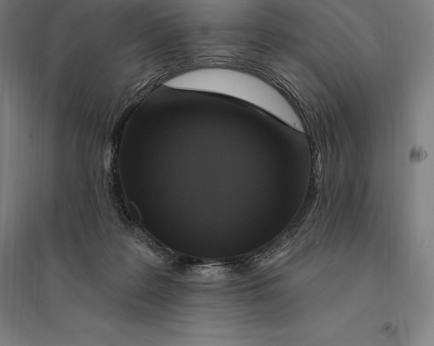 X0000095130219200712301832