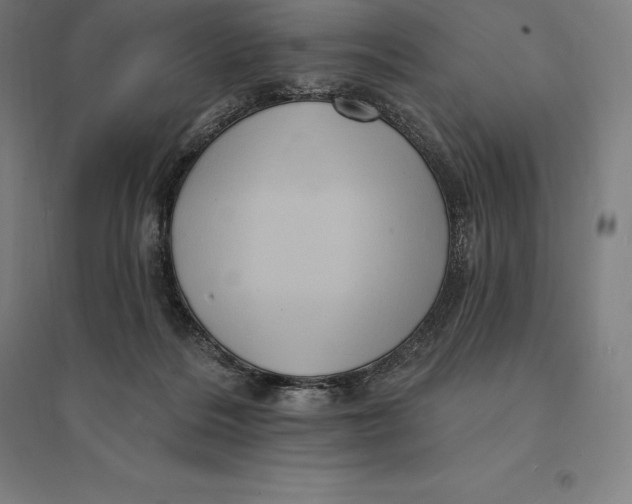 X0000095130220200712301832