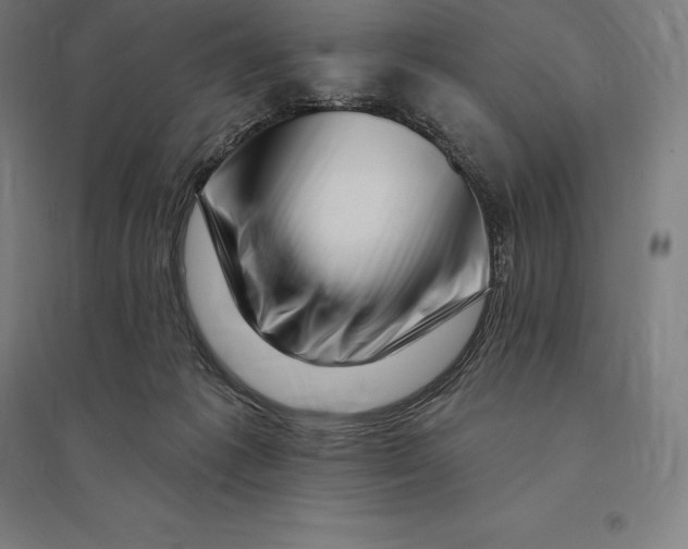 X0000095130221200712301832