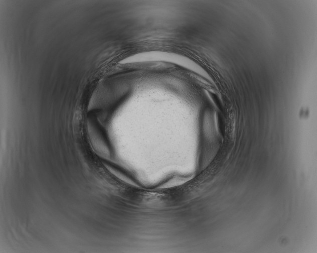 X0000095130222200712301832