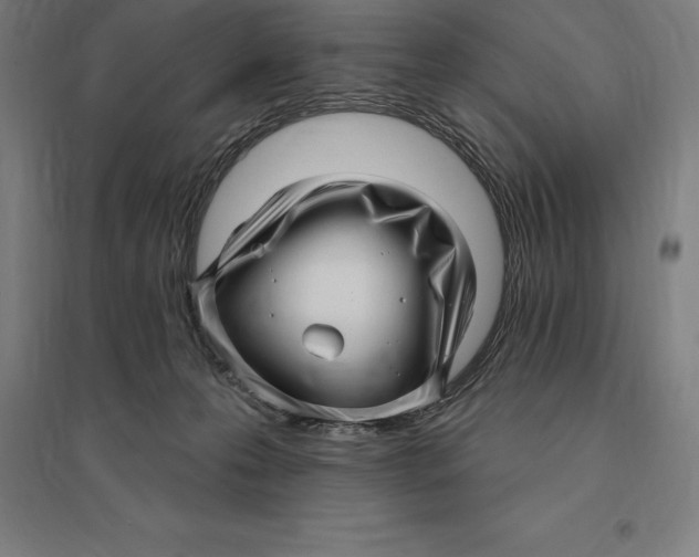 X0000095130223200712301832