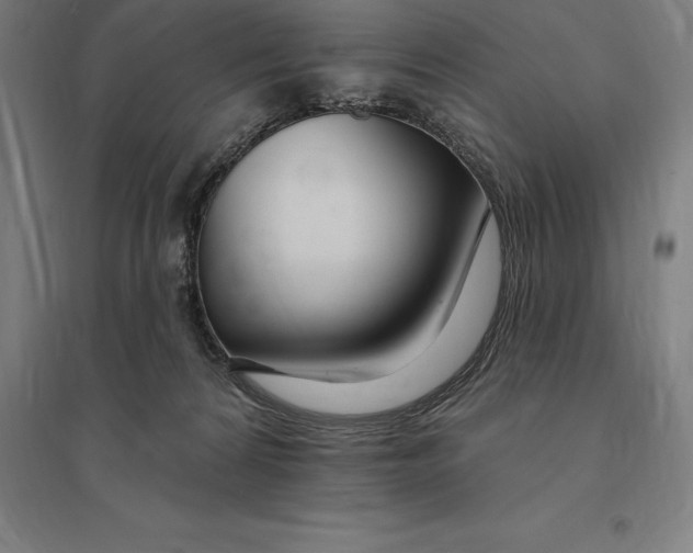 X0000095130224200712301832