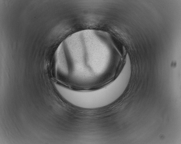 X0000095130225200712301832