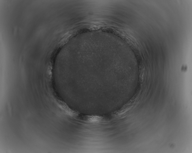 X0000095130226200712301832