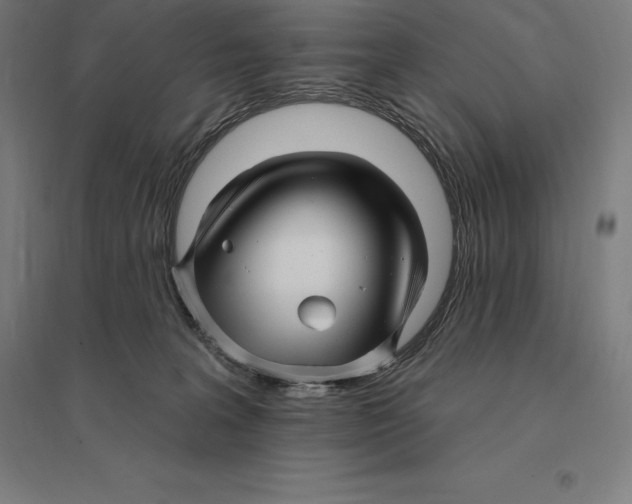 X0000095130227200712301832