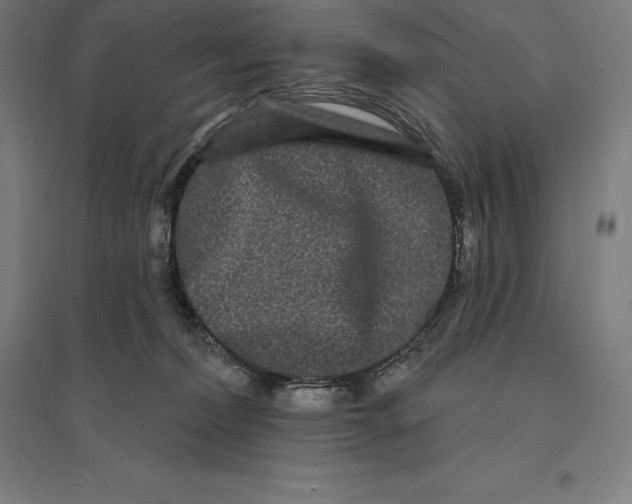 X0000095130228200712301832