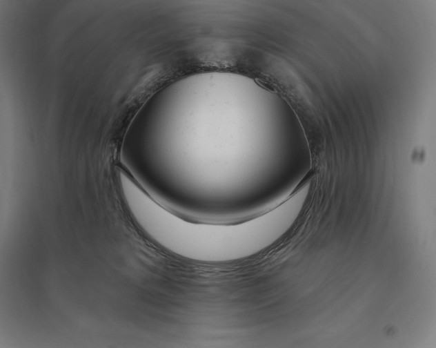 X0000095130229200712301832