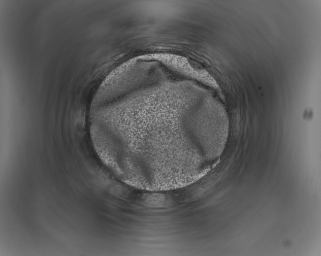 X0000095130230200712301832