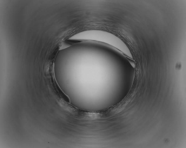 X0000095130233200712301832