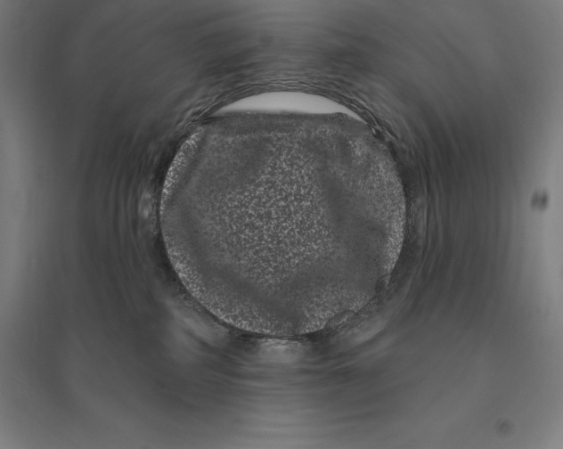 X0000095130234200712301831