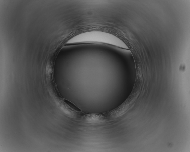 X0000095130235200712301831