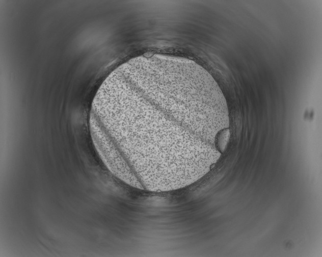 X0000095130236200712301831