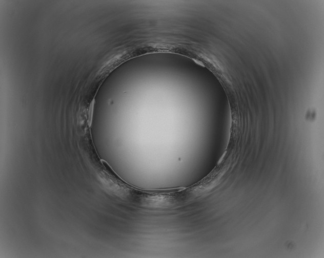 X0000095130237200712301831