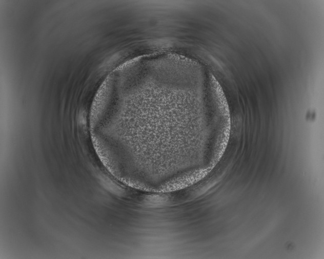 X0000095130238200712301831