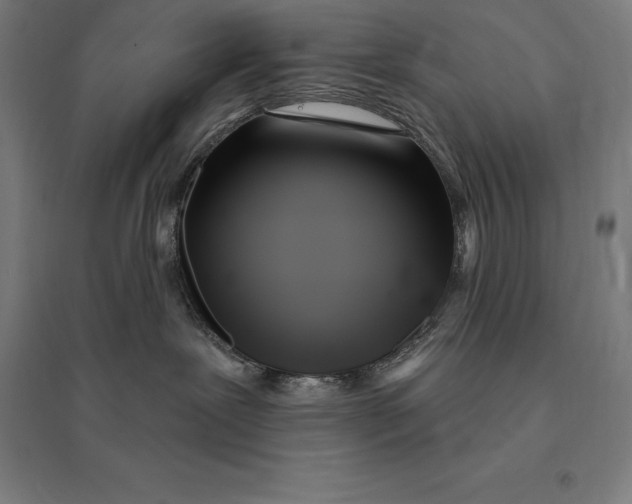 X0000095130239200712301831