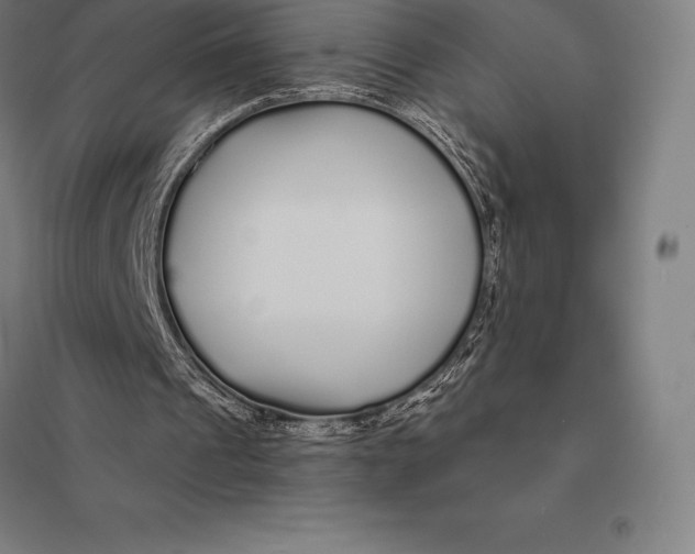 X0000095130241200712301831