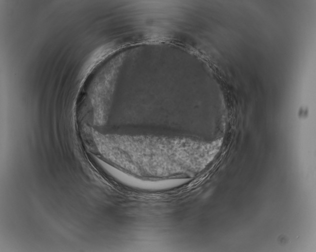 X0000095130242200712301831