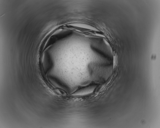 X0000095130243200712301831