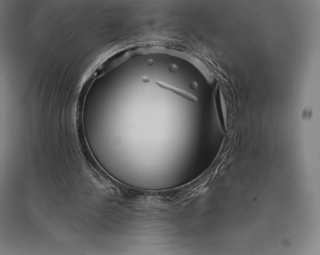 X0000095130244200712301831