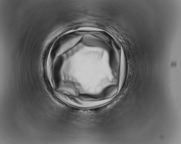 X0000095130245200712301831