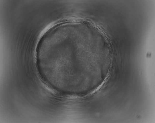 X0000095130246200712301831