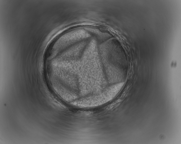 X0000095130247200712301831