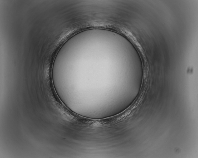 X0000095130249200712301831