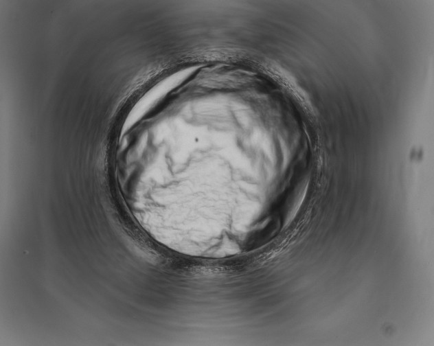 X0000095130250200712301831