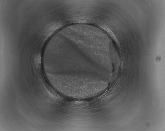 X0000095130251200712301831