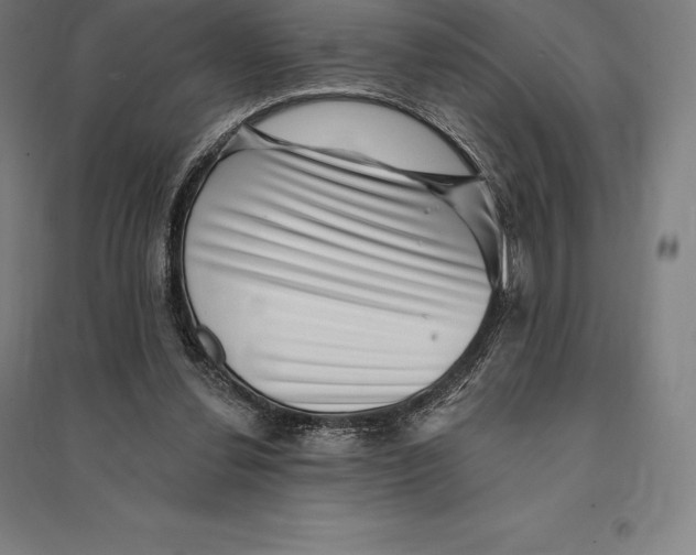 X0000095130252200712301831