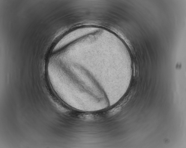 X0000095130253200712301831