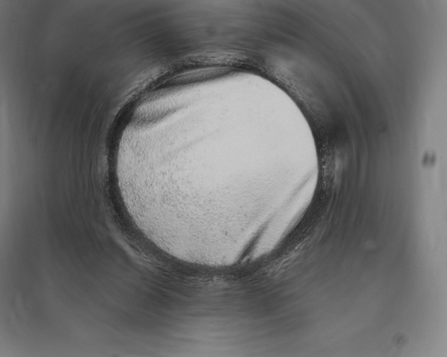 X0000095130254200712301831