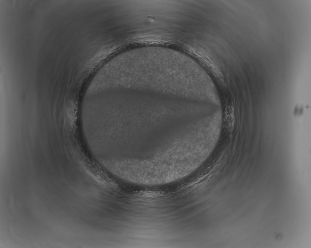 X0000095130255200712301831