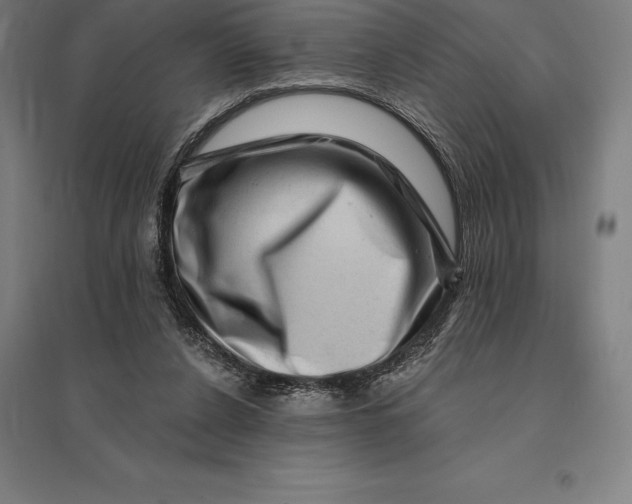 X0000095130256200712301831