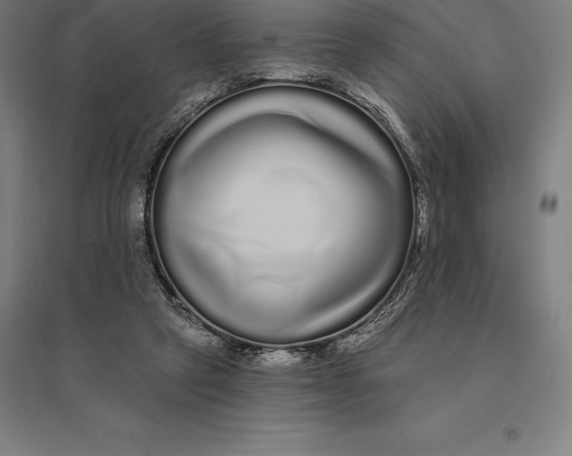 X0000095130257200712301831