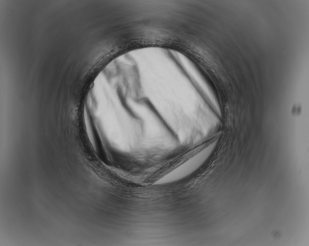 X0000095130258200712301831