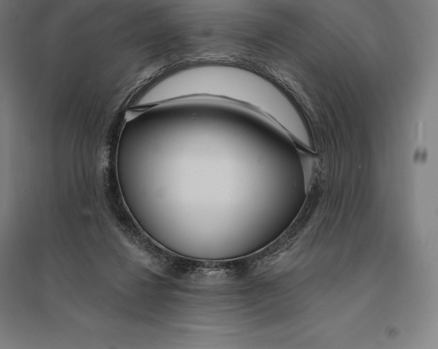 X0000095130260200712301831