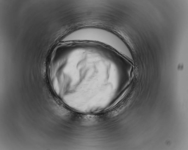 X0000095130261200712301831