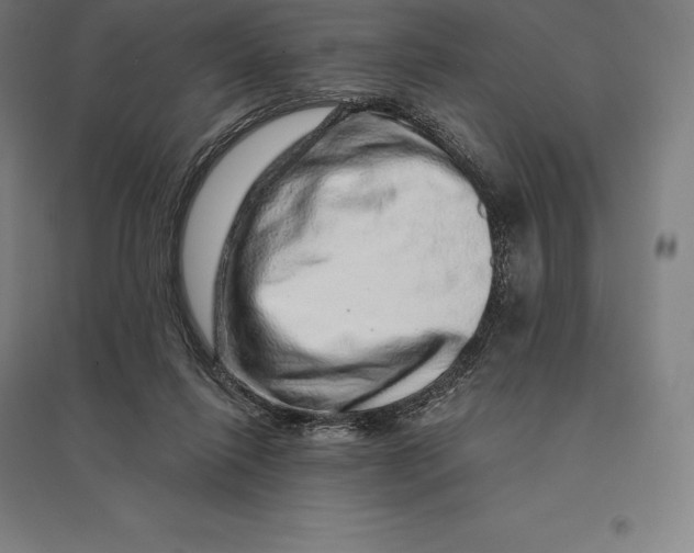 X0000095130262200712301831