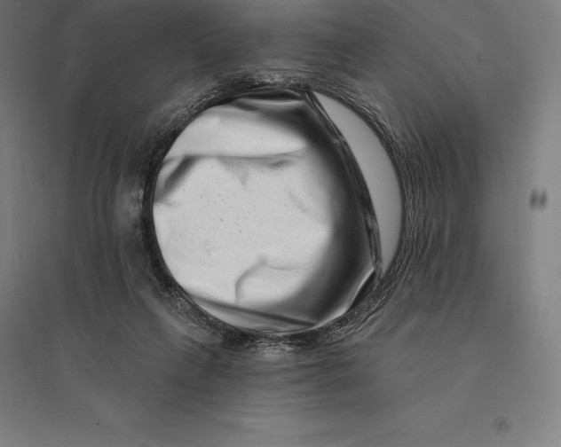 X0000095130263200712301831