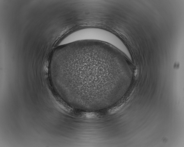 X0000095130264200712301831