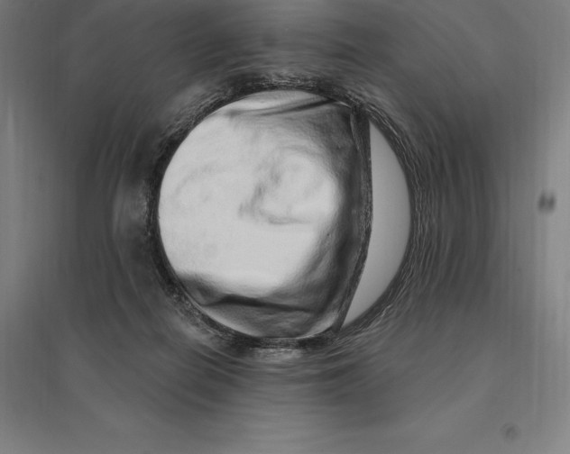 X0000095130266200712301831