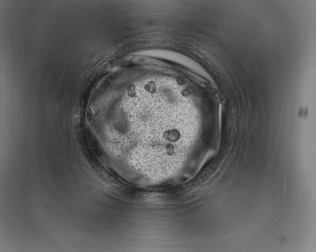 X0000095130268200712301831