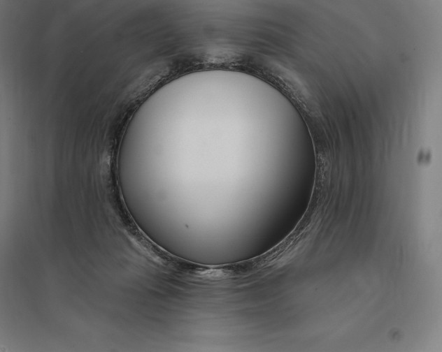 X0000095130269200712301831