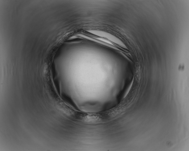 X0000095130270200712301831