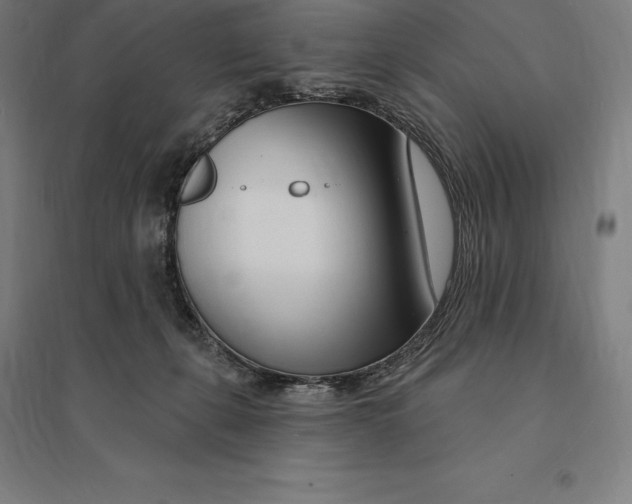 X0000095130271200712301831